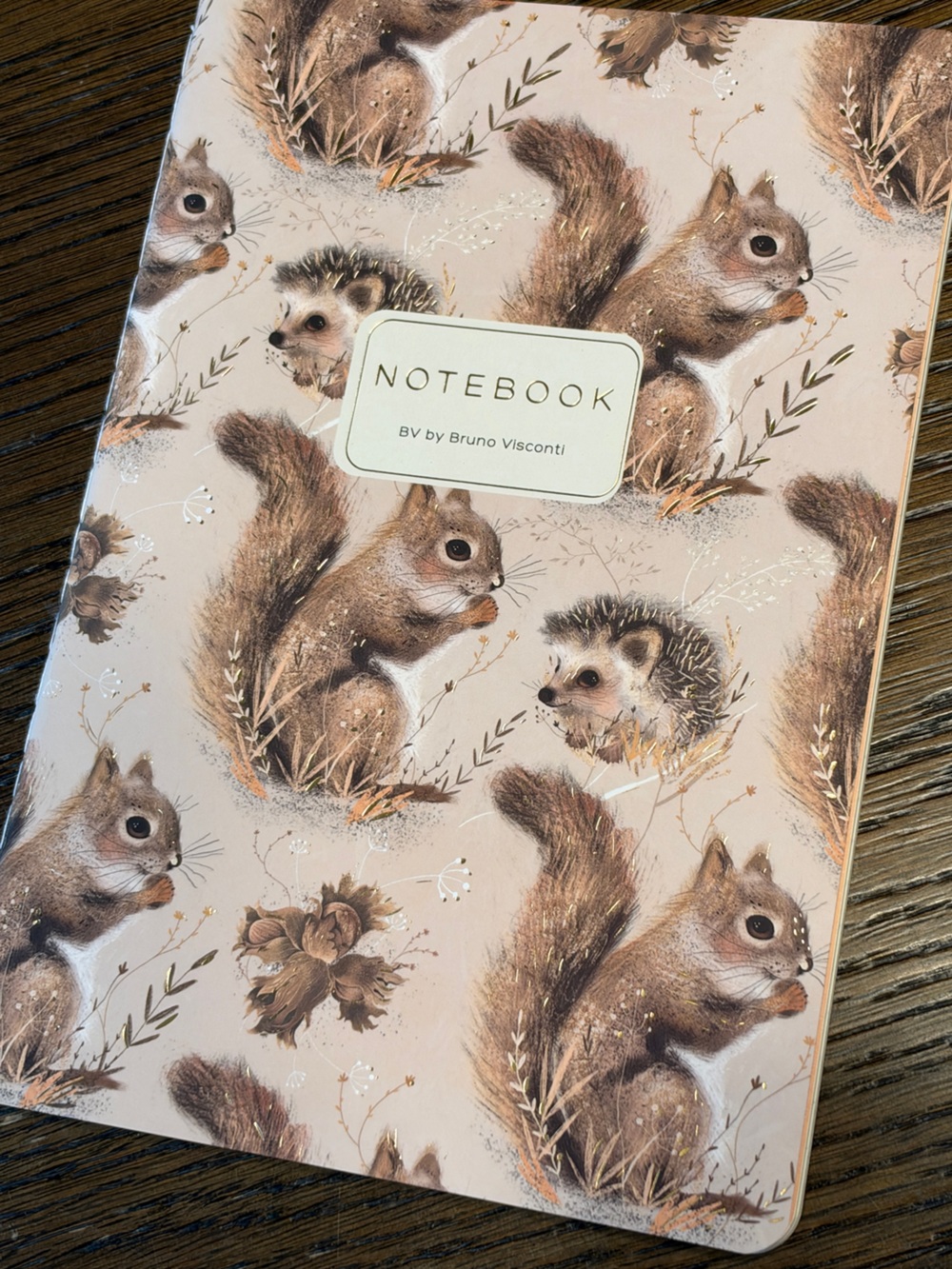 3 for $15 Bruno Visconti Soft Touch The Little Squirrel Journal A5 NEW